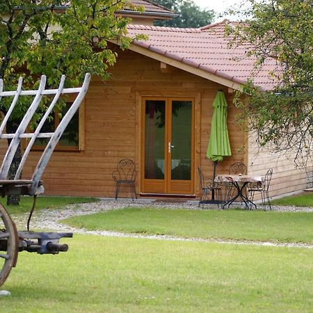 Gites De La Croisee Des Chemins - Piscine Chauffee - Spa, Hammam Et Sauna Izeaux 外观 照片