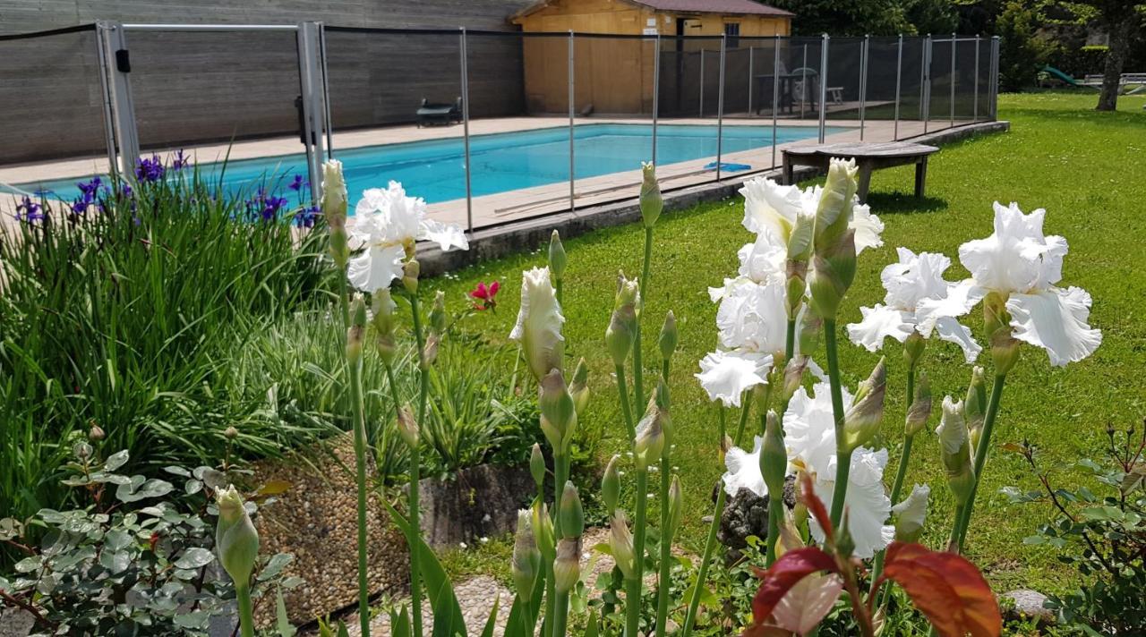Gites De La Croisee Des Chemins - Piscine Chauffee - Spa, Hammam Et Sauna Izeaux 外观 照片