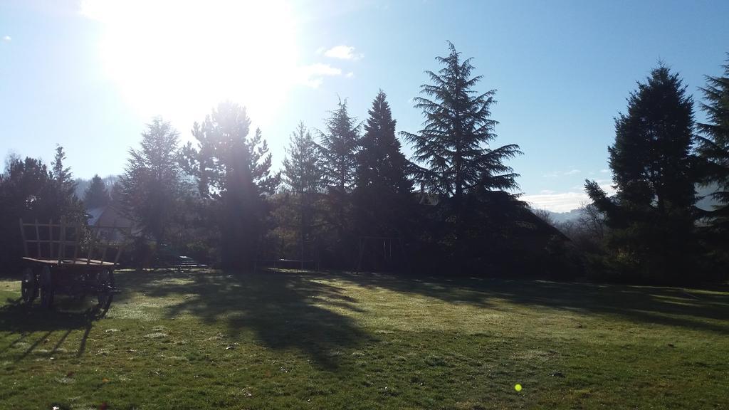 Gites De La Croisee Des Chemins - Piscine Chauffee - Spa, Hammam Et Sauna Izeaux 客房 照片